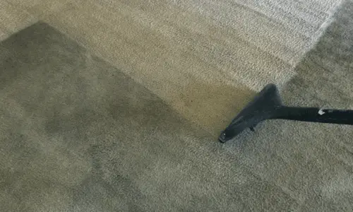 Carpet Cleaning