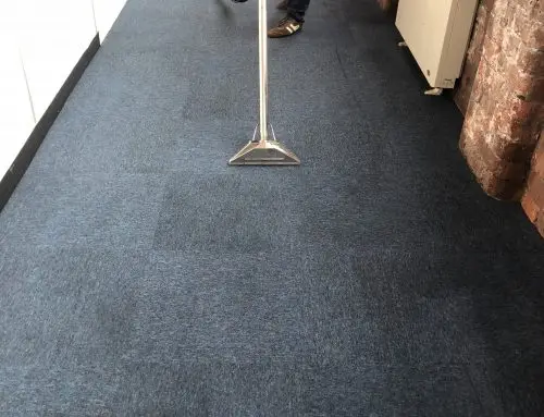 Carpet Cleaning